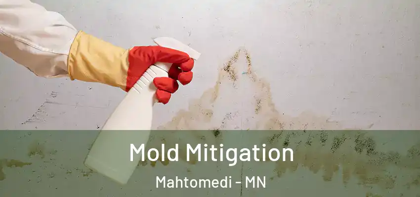 Mold Mitigation Mahtomedi - MN