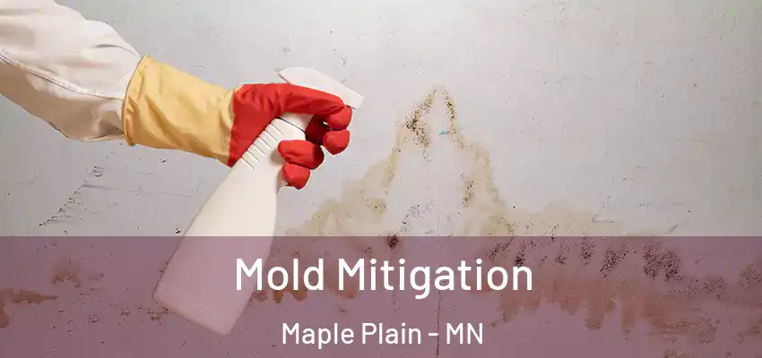  Mold Mitigation Maple Plain - MN