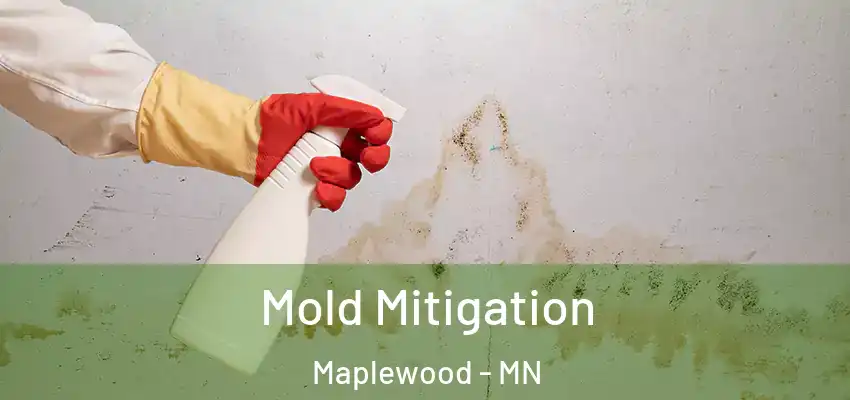  Mold Mitigation Maplewood - MN
