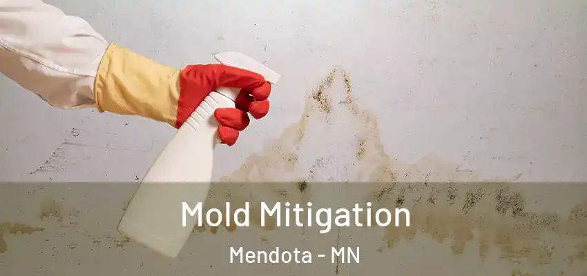  Mold Mitigation Mendota - MN