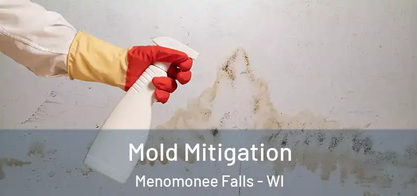  Mold Mitigation Menomonee Falls - WI