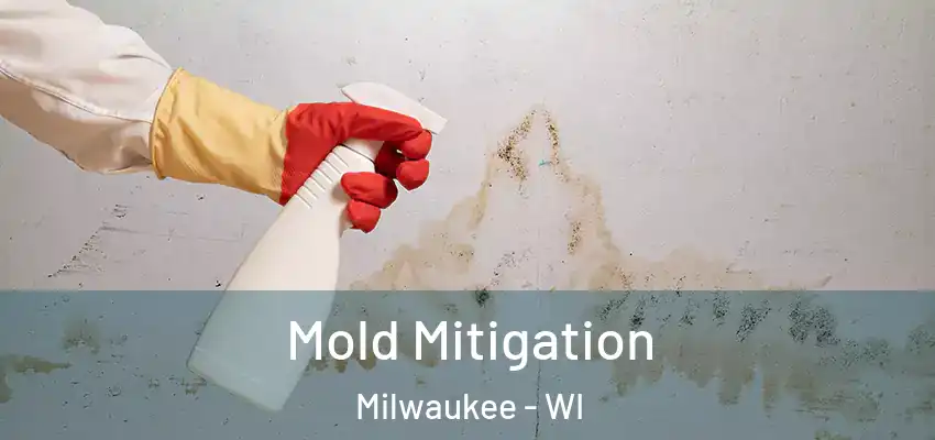  Mold Mitigation Milwaukee - WI