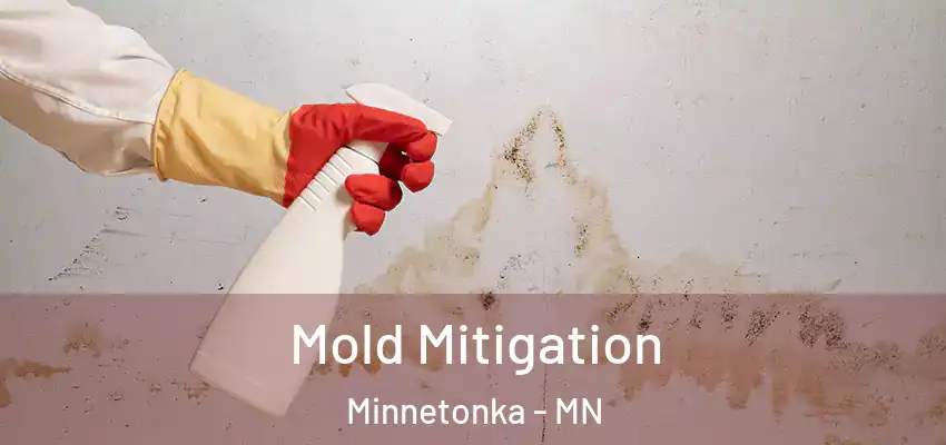  Mold Mitigation Minnetonka - MN