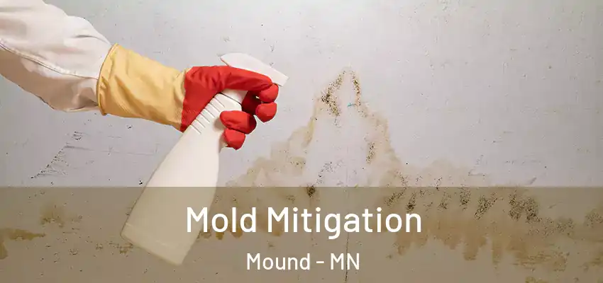  Mold Mitigation Mound - MN