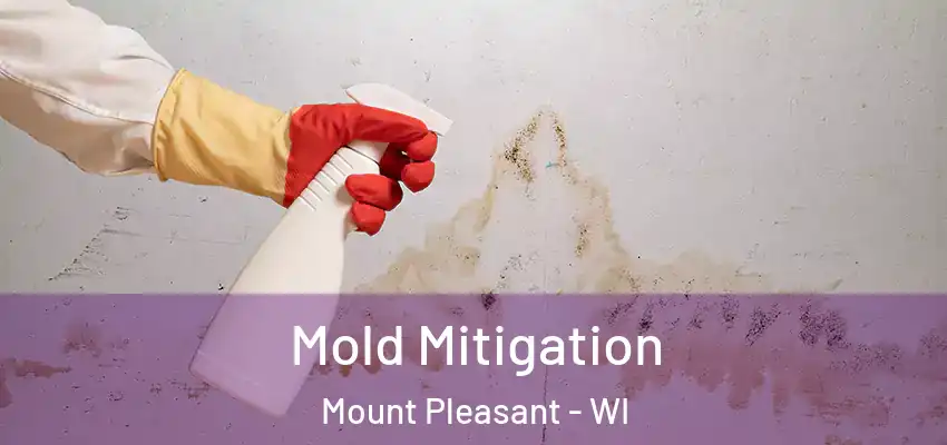  Mold Mitigation Mount Pleasant - WI