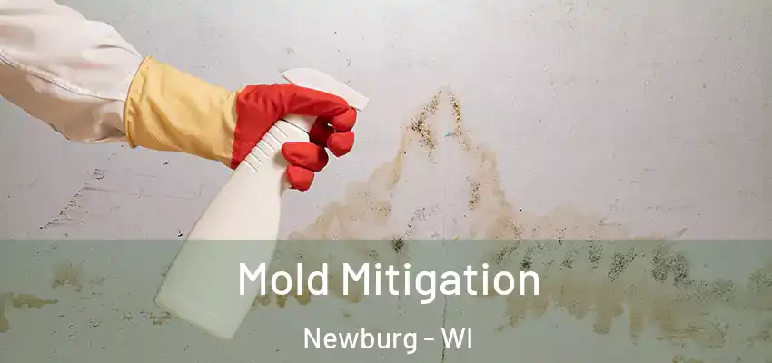 Mold Mitigation Newburg - WI