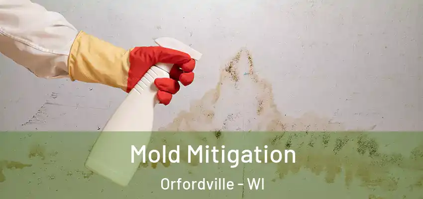  Mold Mitigation Orfordville - WI