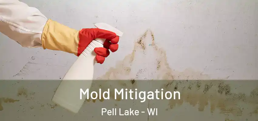  Mold Mitigation Pell Lake - WI
