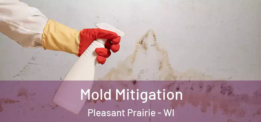 Mold Mitigation Pleasant Prairie - WI