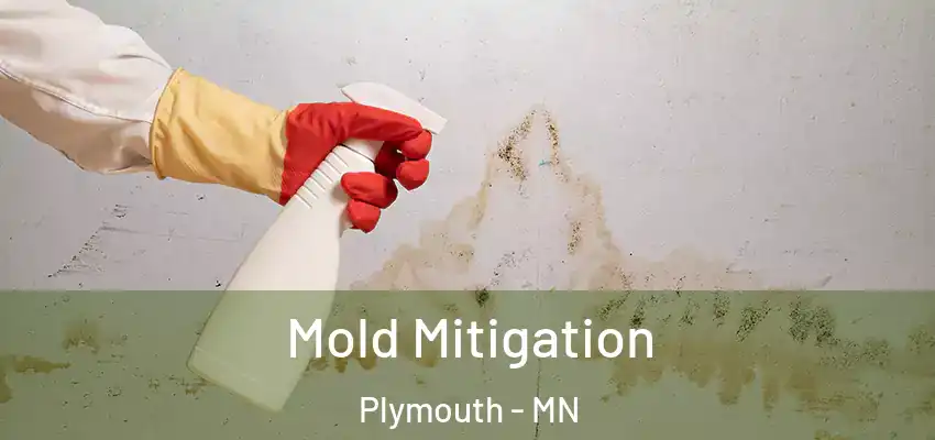  Mold Mitigation Plymouth - MN