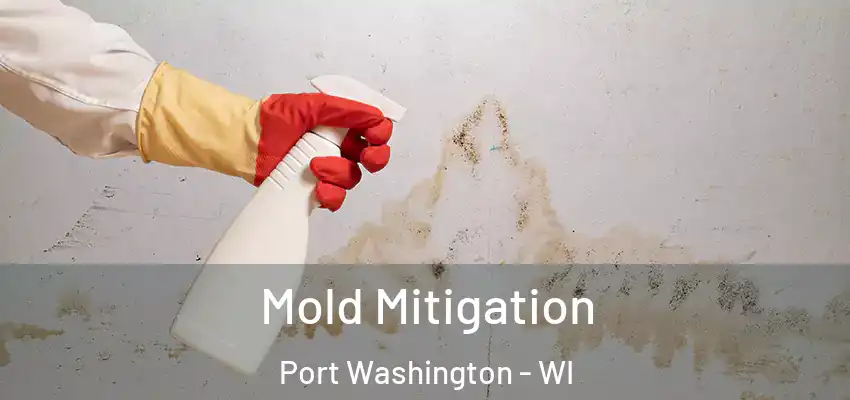 Mold Mitigation Port Washington - WI
