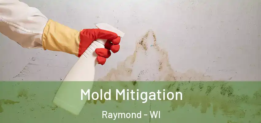  Mold Mitigation Raymond - WI