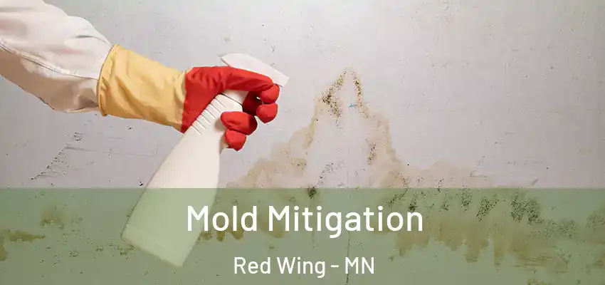  Mold Mitigation Red Wing - MN