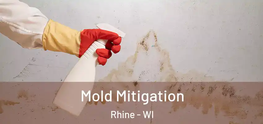  Mold Mitigation Rhine - WI
