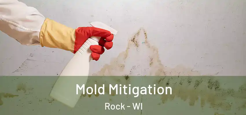 Mold Mitigation Rock - WI