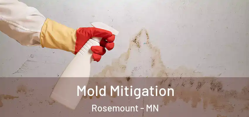  Mold Mitigation Rosemount - MN