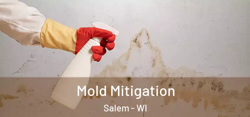  Mold Mitigation Salem - WI