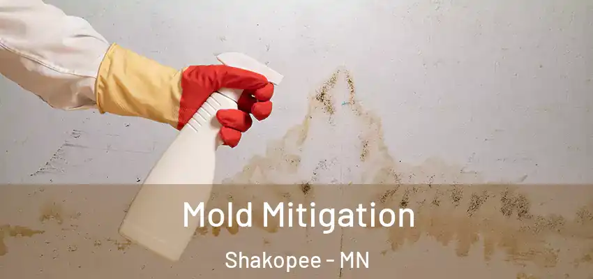  Mold Mitigation Shakopee - MN