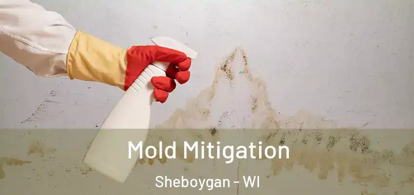  Mold Mitigation Sheboygan - WI