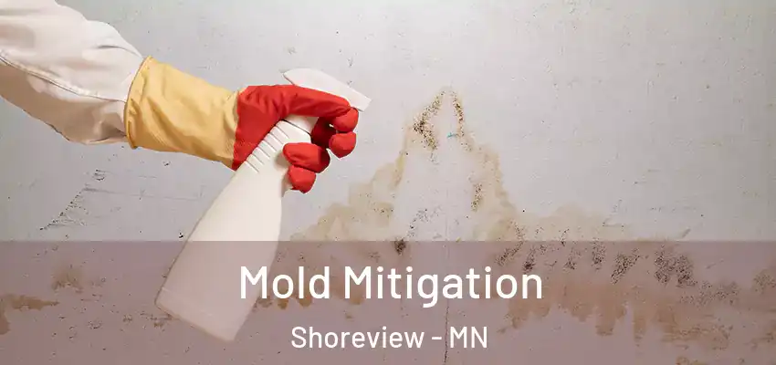  Mold Mitigation Shoreview - MN