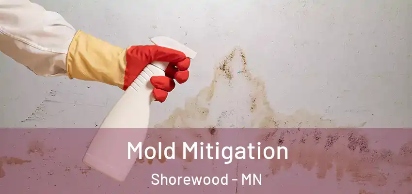 Mold Mitigation Shorewood - MN