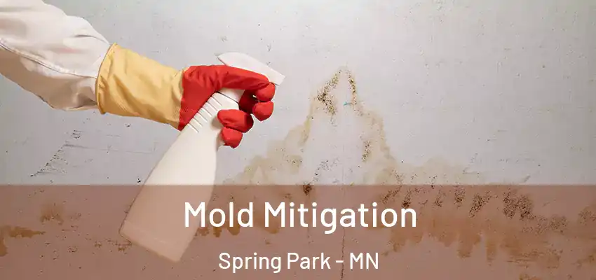  Mold Mitigation Spring Park - MN