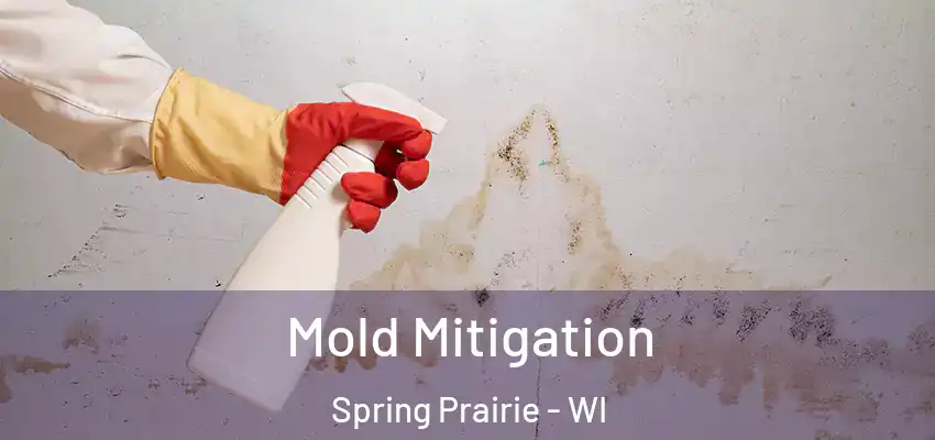  Mold Mitigation Spring Prairie - WI