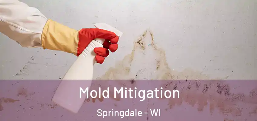  Mold Mitigation Springdale - WI