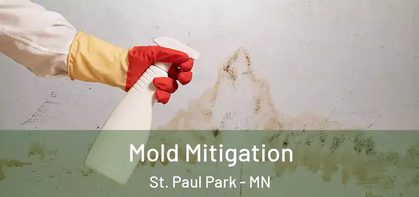 Mold Mitigation St. Paul Park - MN