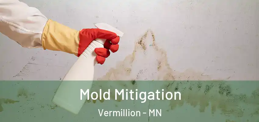  Mold Mitigation Vermillion - MN