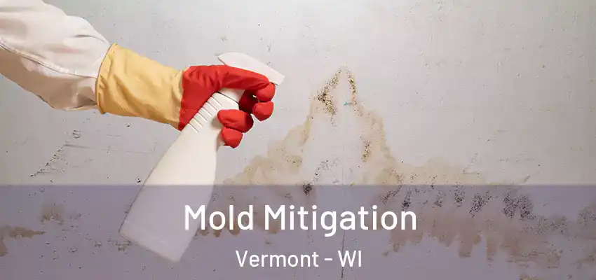  Mold Mitigation Vermont - WI