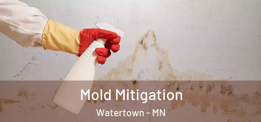  Mold Mitigation Watertown - MN