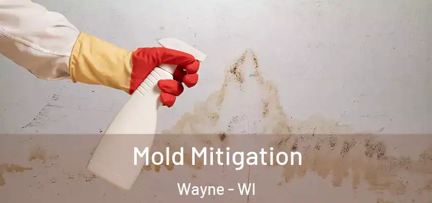  Mold Mitigation Wayne - WI