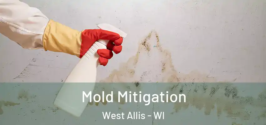 Mold Mitigation West Allis - WI