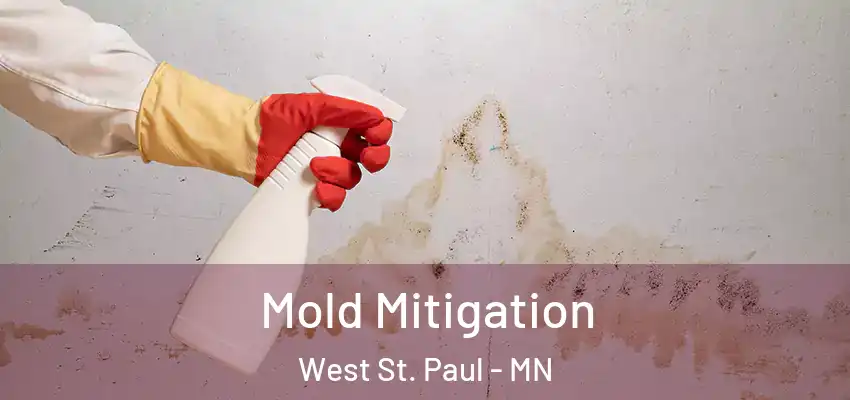  Mold Mitigation West St. Paul - MN