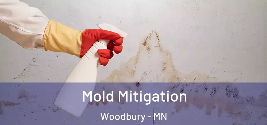  Mold Mitigation Woodbury - MN