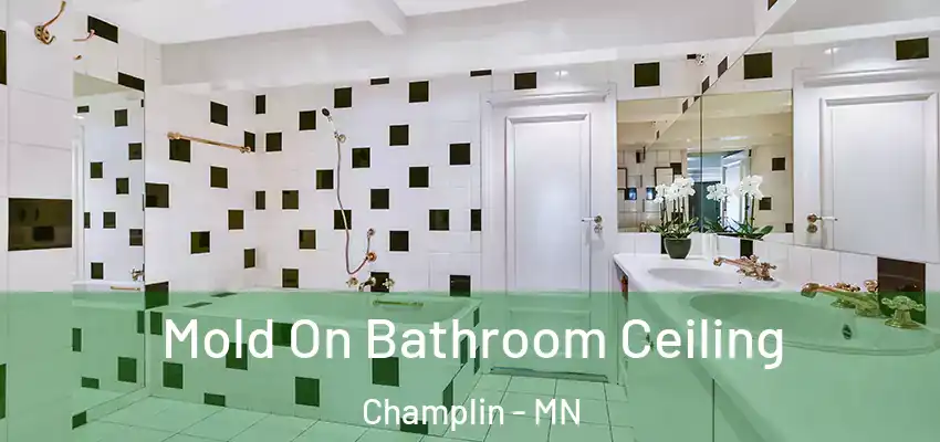  Mold On Bathroom Ceiling Champlin - MN