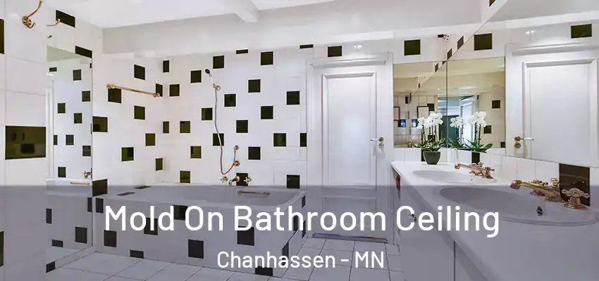  Mold On Bathroom Ceiling Chanhassen - MN