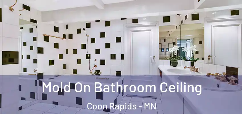 Mold On Bathroom Ceiling Coon Rapids - MN