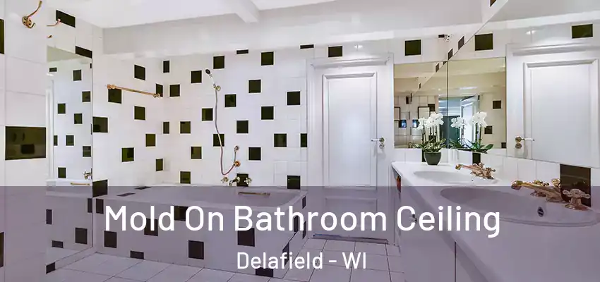  Mold On Bathroom Ceiling Delafield - WI