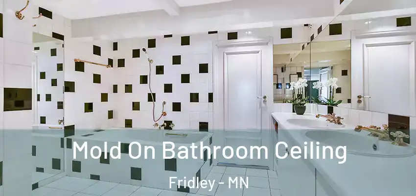  Mold On Bathroom Ceiling Fridley - MN