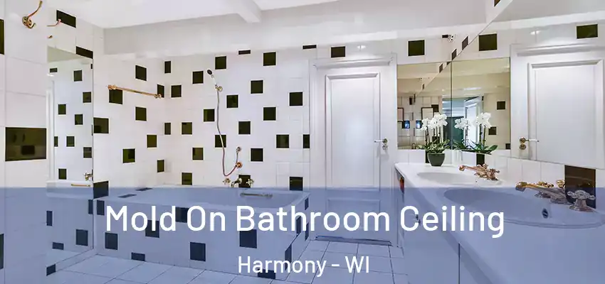  Mold On Bathroom Ceiling Harmony - WI