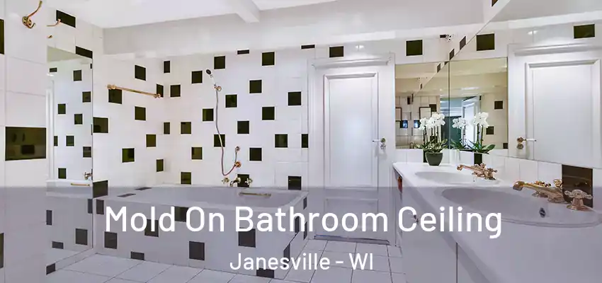  Mold On Bathroom Ceiling Janesville - WI