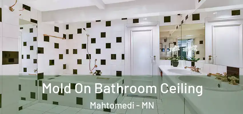  Mold On Bathroom Ceiling Mahtomedi - MN