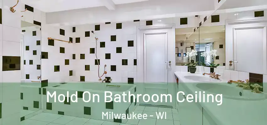  Mold On Bathroom Ceiling Milwaukee - WI