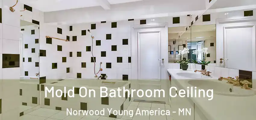  Mold On Bathroom Ceiling Norwood Young America - MN