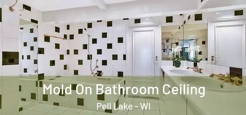  Mold On Bathroom Ceiling Pell Lake - WI