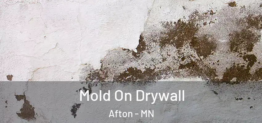  Mold On Drywall Afton - MN