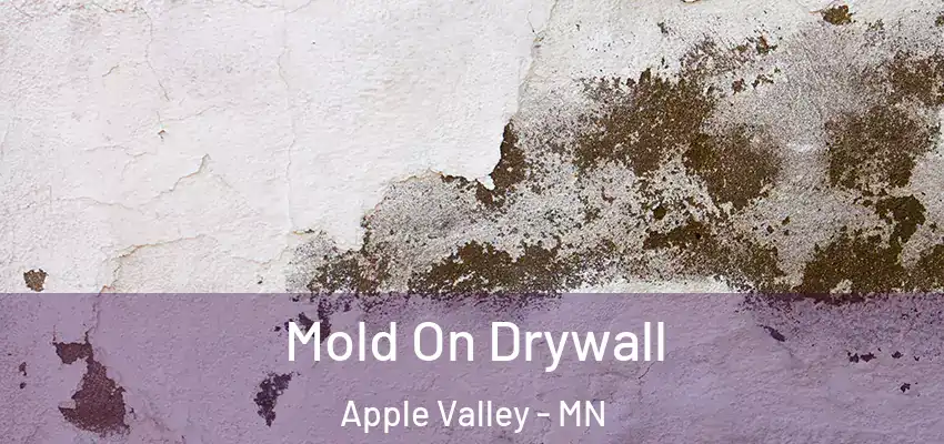 Mold On Drywall Apple Valley - MN