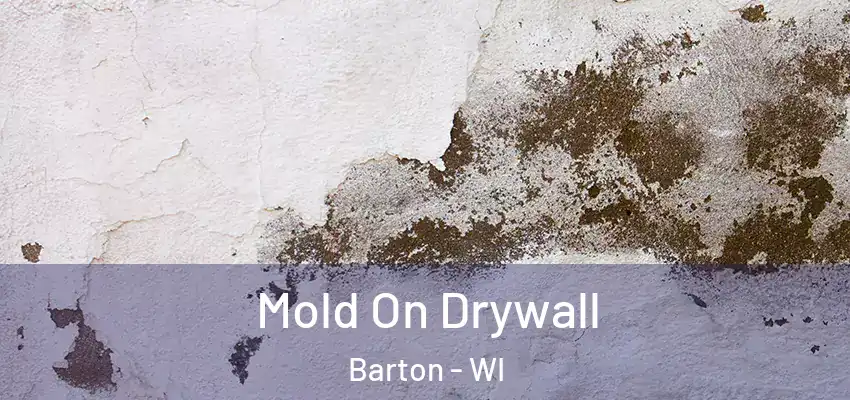  Mold On Drywall Barton - WI